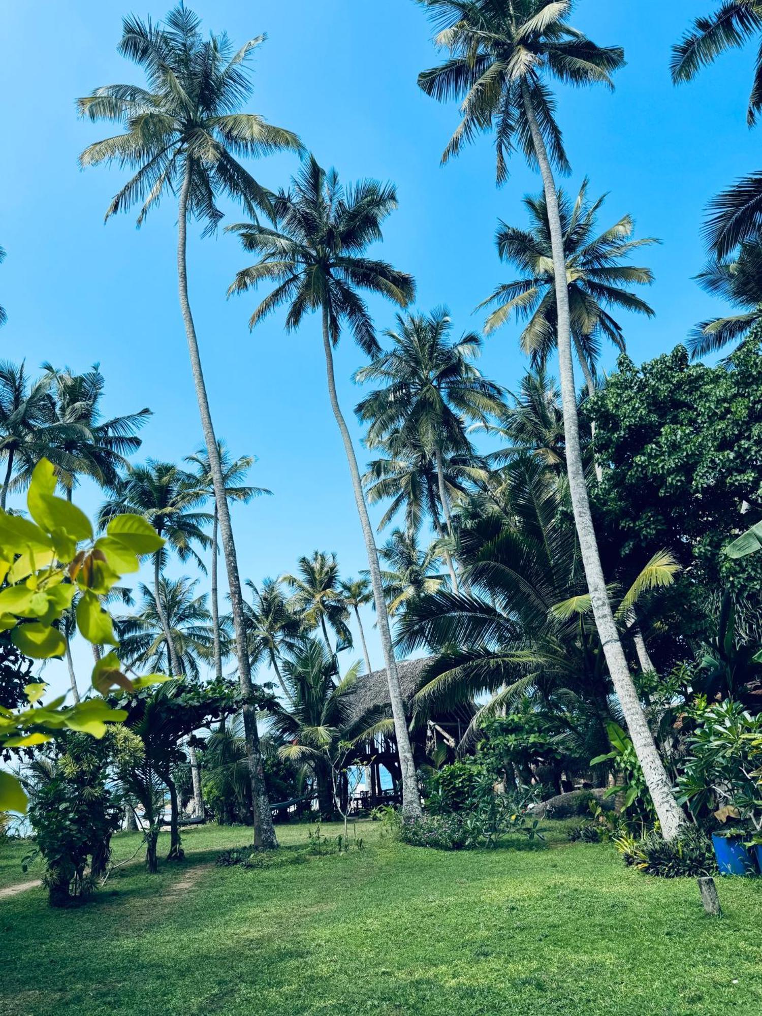 Villa La Kurumba Ambalangoda  Esterno foto